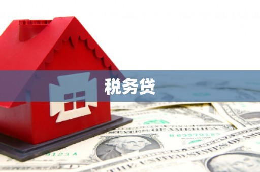 西峡税务贷
