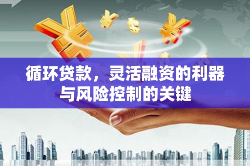 西峡循环贷款，灵活融资的利器与风险控制的关键