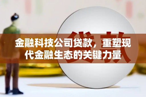 西峡金融科技公司贷款，重塑现代金融生态的关键力量
