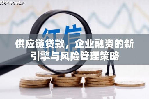 西峡供应链贷款，企业融资的新引擎与风险管理策略