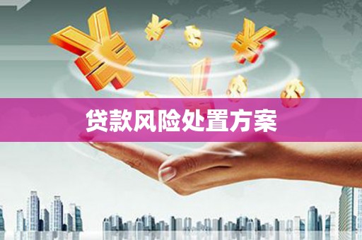 西峡贷款风险处置方案