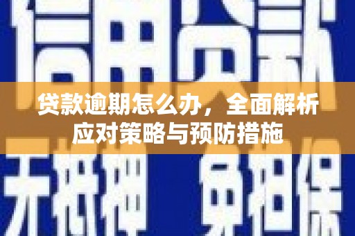 西峡贷款逾期怎么办，全面解析应对策略与预防措施