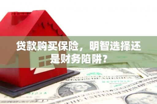 西峡贷款购买保险，明智选择还是财务陷阱？