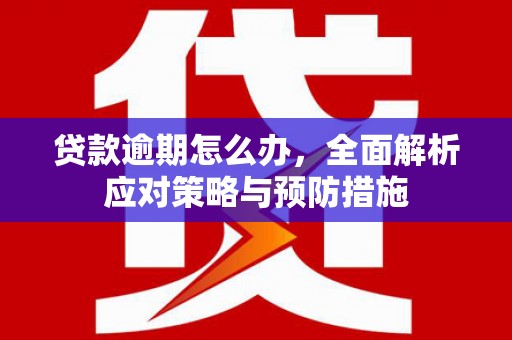 西峡贷款逾期怎么办，全面解析应对策略与预防措施
