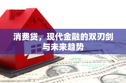 西峡消费贷，现代金融的双刃剑与未来趋势