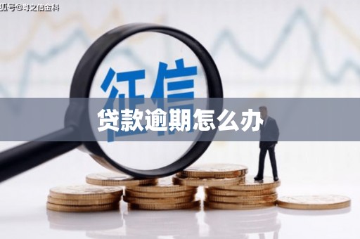 西峡贷款逾期怎么办