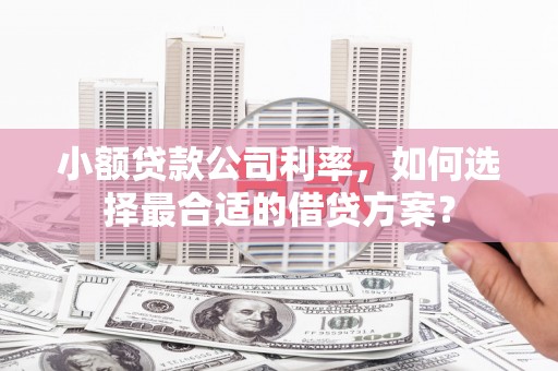 西峡小额贷款公司利率，如何选择最合适的借贷方案？