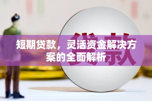 西峡短期贷款，灵活资金解决方案的全面解析
