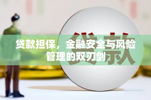 西峡贷款担保，金融安全与风险管理的双刃剑