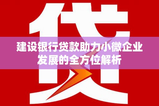 西峡建设银行贷款助力小微企业发展的全方位解析