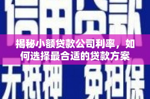 西峡揭秘小额贷款公司利率，如何选择最合适的贷款方案