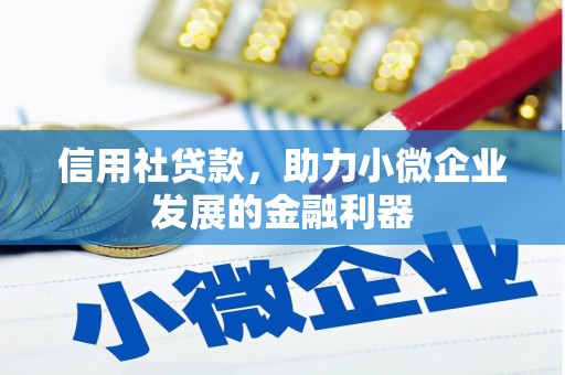 西峡信用社贷款，助力小微企业发展的金融利器
