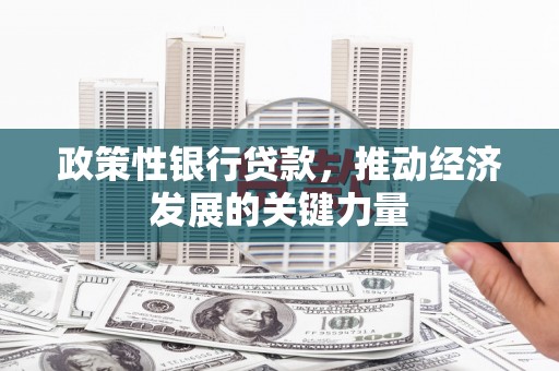 西峡政策性银行贷款，推动经济发展的关键力量