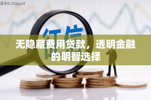 西峡无隐藏费用贷款，透明金融的明智选择