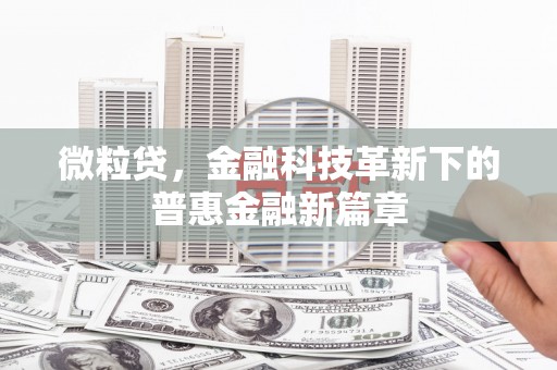 西峡微粒贷，金融科技革新下的普惠金融新篇章