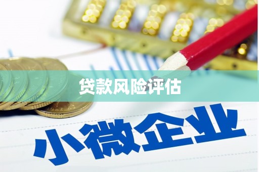 西峡贷款风险评估