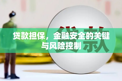 西峡贷款担保，金融安全的关键与风险控制