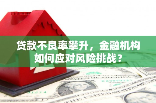 西峡贷款不良率攀升，金融机构如何应对风险挑战？