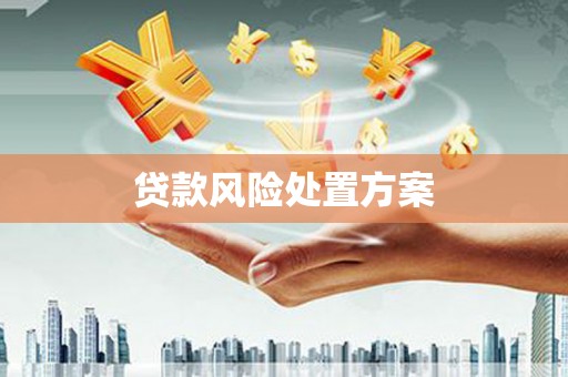 西峡贷款风险处置方案