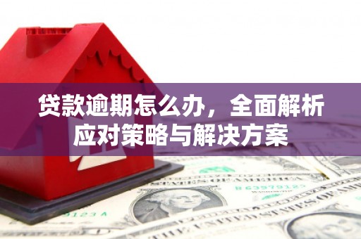 西峡贷款逾期怎么办，全面解析应对策略与解决方案