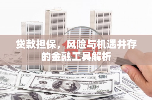 西峡贷款担保，风险与机遇并存的金融工具解析