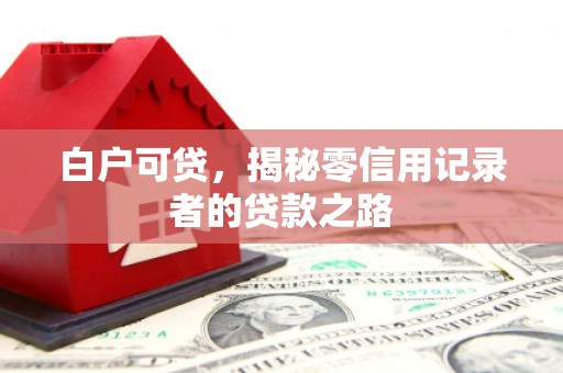 西峡白户可贷，揭秘零信用记录者的贷款之路
