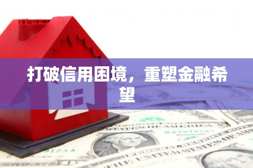 西峡打破信用困境，重塑金融希望