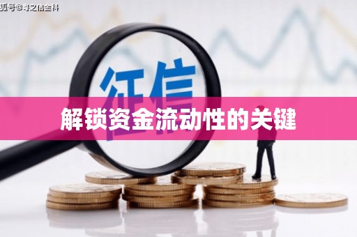 西峡解锁资金流动性的关键
