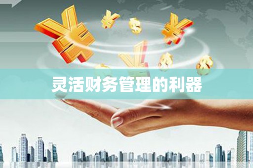 西峡灵活财务管理的利器