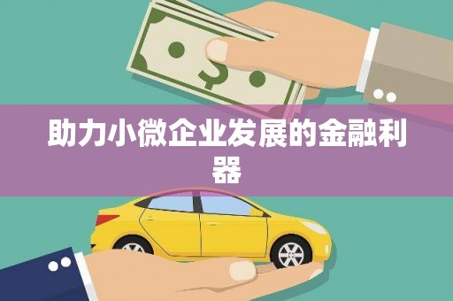 西峡助力小微企业发展的金融利器