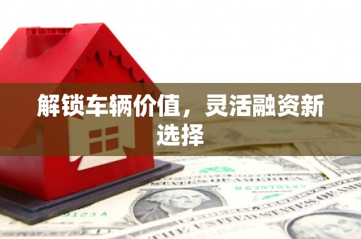西峡解锁车辆价值，灵活融资新选择