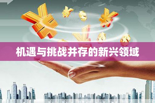 西峡机遇与挑战并存的新兴领域