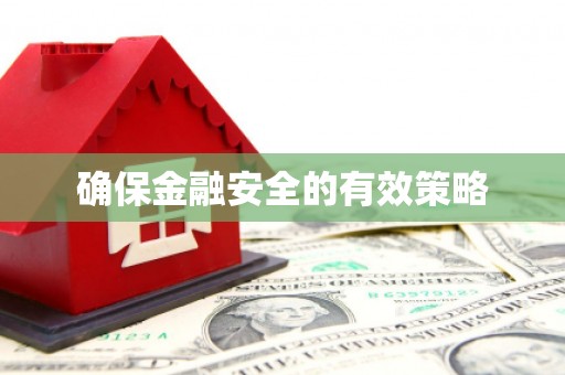 西峡确保金融安全的有效策略