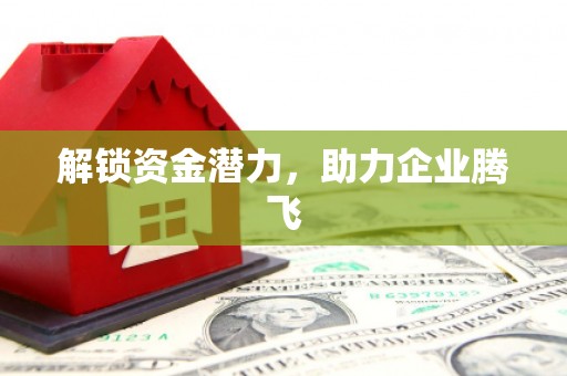 西峡解锁资金潜力，助力企业腾飞