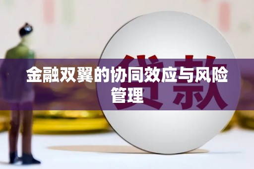 西峡金融双翼的协同效应与风险管理