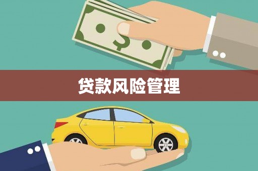 西峡贷款风险管理