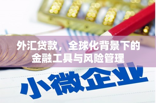 西峡外汇贷款，全球化背景下的金融工具与风险管理