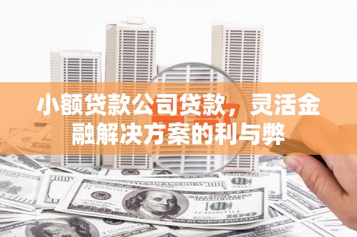 西峡小额贷款公司贷款，灵活金融解决方案的利与弊